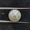 South Sea Pearl ~ 8.88 Cts