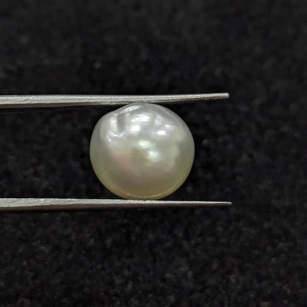 South Sea Pearl ~ 7.69 Cts