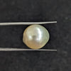 Golden South Sea Pearl ~ 14.32 Cts