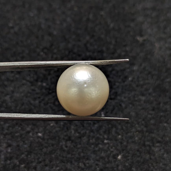 South Sea Pearl ~ 15.47 Cts