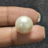 South Sea Pearl ~ 15.47 Cts