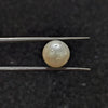 South Sea Pearl ~ 4.61 Cts