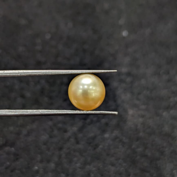 South Sea Pearl ~ 4.54 Cts