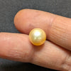 South Sea Pearl - 5.67 Cts