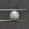 South Sea Pearl - 5.06 Cts