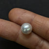 South Sea Pearl - 5.61 Cts