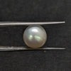 South Sea Pearl - 5.61 Cts