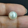 South Sea Pearl~5.62 Cts