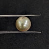 South Sea Pearl~5.34 Cts