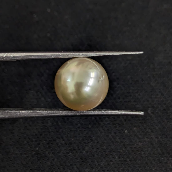 South Sea Pearl~5.34 Cts
