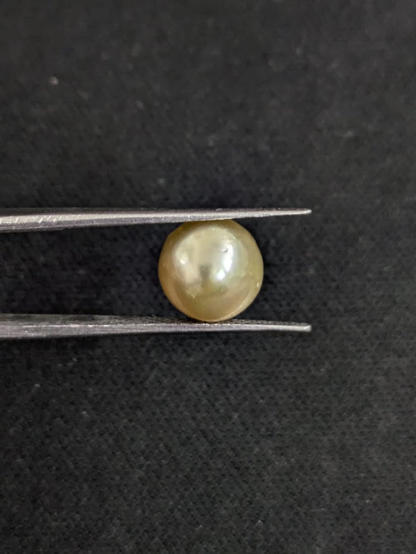 South Sea Pearl~5.16 Cts
