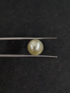 South Sea Pearl~5.80 Cts