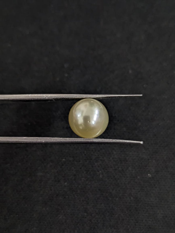 South Sea Pearl~5.80 Cts