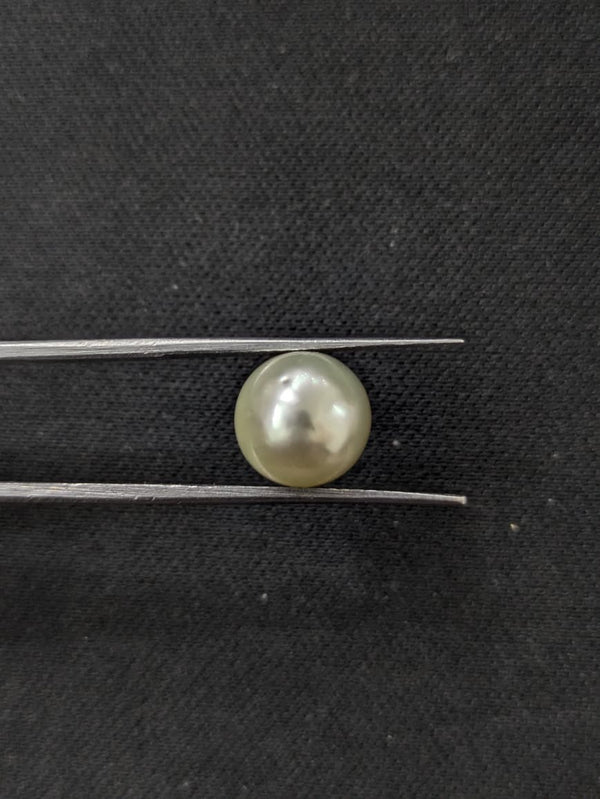South Sea Pearl~6 Cts