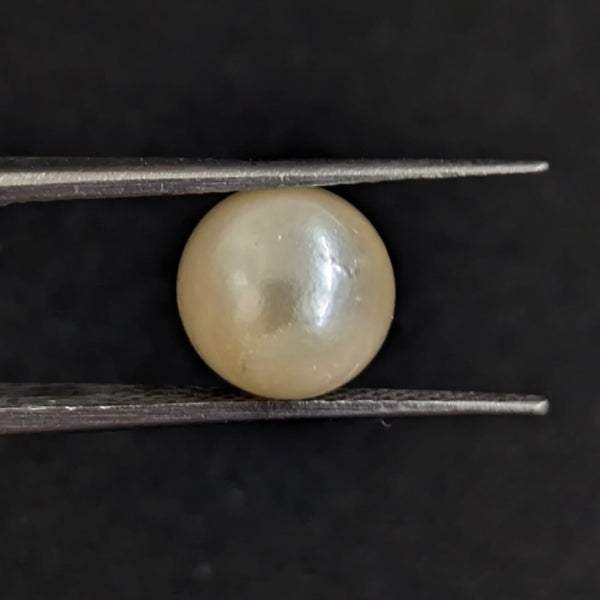South Sea Pearl ~ 4.56 Cts