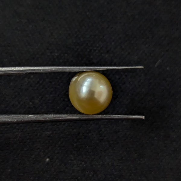 South Sea Pearl ~ 3.24 Cts