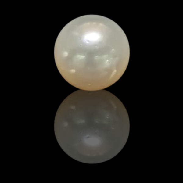 South Sea Pearl ~ 15.64 Cts
