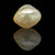 South Sea Pearl ~ 8.51 Cts