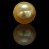 Golden South Sea Pearl ~ 10.60 Cts