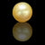 Golden South Sea Pearl ~ 11.78 Cts