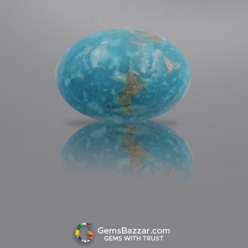 Turquoise Gemstone ~ 12.90 CTS