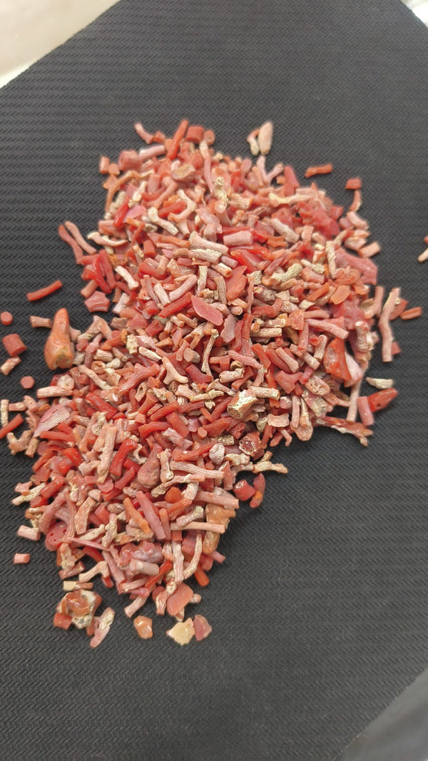 Natural Red Coral Raw (Vastu ) - 100 gm