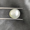 South Sea Pearl ~ 7.04 Cts