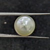 South Sea Pearl ~ 8.88 Cts