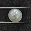 South Sea Pearl ~ 8.27 Cts