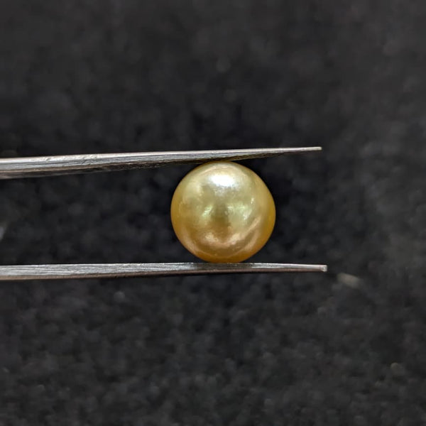 Golden South Sea Pearl - 6.94 Cts
