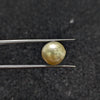 Golden South Sea Pearl - 6.58 Cts