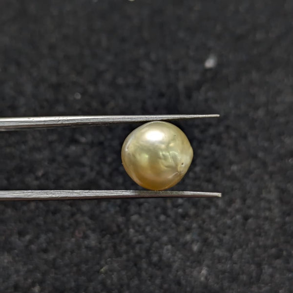 Golden South Sea Pearl - 6.58 Cts