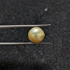 Golden South Sea Pearl - 6.58 Cts
