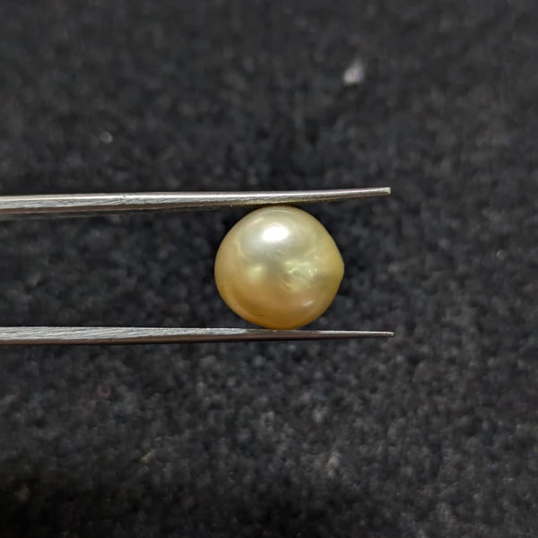 Golden South Sea Pearl - 6.58 Cts