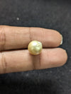 Golden South Sea Pearl - 6.58 Cts