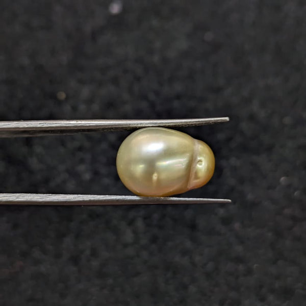 Golden South Sea Pearl - 8.59 Cts