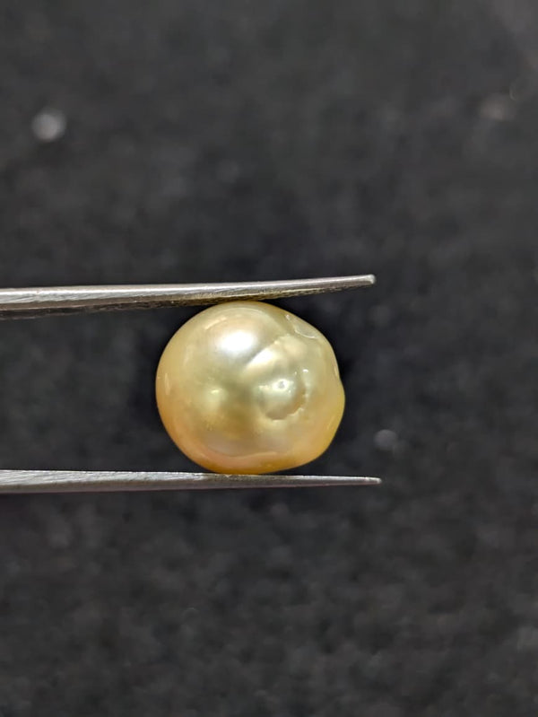 Golden South Sea Pearl - 9.36 Cts