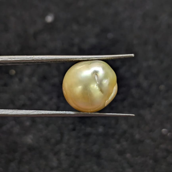 Golden South Sea Pearl - 9.36 Cts