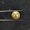 Golden South Sea Pearl - 9.48 Cts