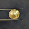 Golden South Sea Pearl ~ 9.62 Cts