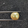 Golden South Sea Pearl ~ 9.62 Cts