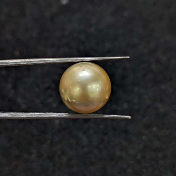 Golden South Sea Pearl ~ 10.12 Cts