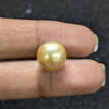 Golden South Sea Pearl ~ 10.12 Cts