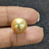 Golden South Sea Pearl ~ 10.60 Cts