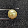 Golden South Sea Pearl ~ 11.78 Cts