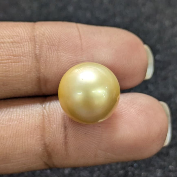 Golden South Sea Pearl ~ 11.78 Cts