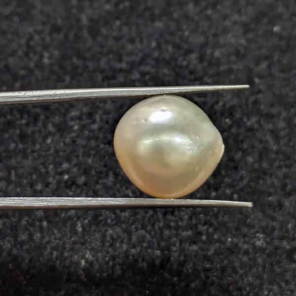 Golden South Sea Pearl ~ 12.15 Cts