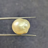 Golden South Sea Pearl ~ 13.52 Cts
