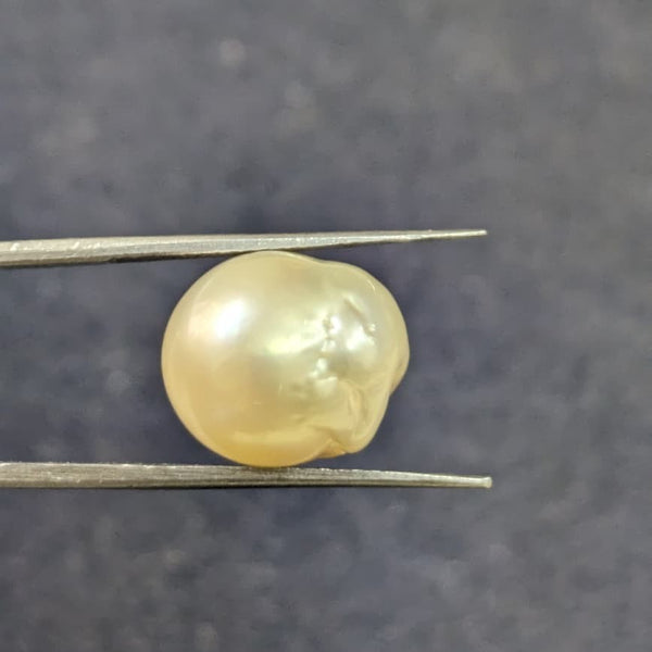 Golden South Sea Pearl ~ 13.52 Cts