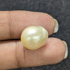 Golden South Sea Pearl ~ 13.52 Cts